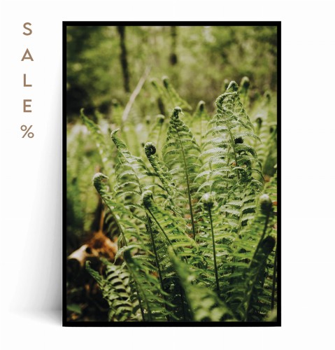 Plakat PAPROCIE no.1 30x40.jpg