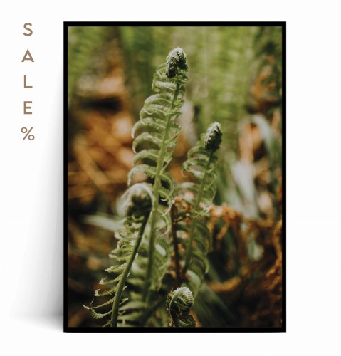 Plakat PAPROCIE no.5 30x40.jpg