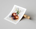 Plakat CEBULA ILUSTROWANY no.1 z marginesem T.jpg
