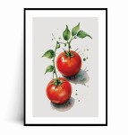 Plakat POMIDORY ILUSTROWANY 