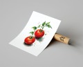 Plakat POMIDORY ILUSTROWANY T.jpg