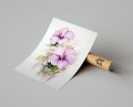 Plakat KWIATY HIBISKUSA Ilustrowany T.jpg