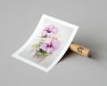 Plakat KWIATY HIBISKUSA Ilustrowany z marginesem T.jpg
