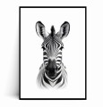 Plakat ZEBRA MINIMAL.jpg