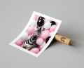 Plakat ZEBRA W BALONACH z marginesem T.jpg