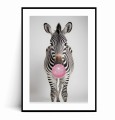Plakat ZEBRA Z GUMĄ BALONOWĄ z marginesem.jpg