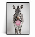 Plakat ZEBRA Z GUMĄ BALONOWĄ.jpg