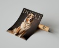 Plakat DOGUE no.26 OWCZAREK SZETLANDZKI Sheltie T.jpg