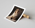 Plakat DOGUE no.23 OWCZAREK SZETLANDZKI Sheltie z marginesem T.jpg