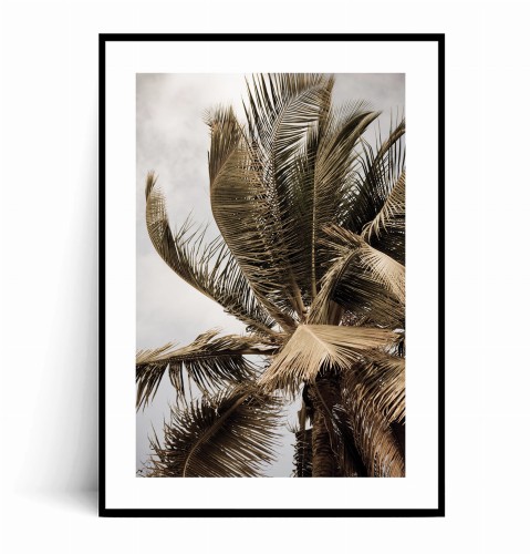 Plakat DRZEWO PALMOWE z marginesem.jpg