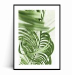 Plakat ZIELONY LIŚĆ PALMOWY 