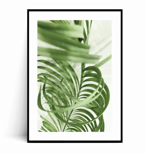 Plakat LIŚĆ PALMOWY Zielony z marginesem.jpg