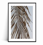 Plakat LIŚĆ PALMOWY 