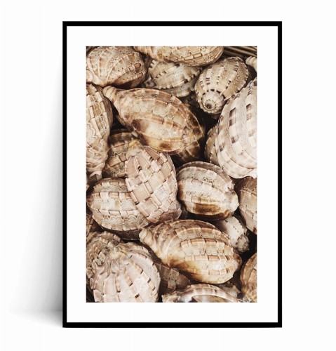 Plakat MUSZLE BOHO z marginesem.jpg