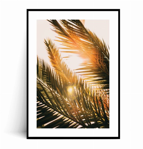 Plakat PALMY W PROMIENIACH SŁOŃCA z marginesem.jpg