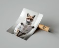 Plakat LIS W TOALECIE T.jpg
