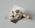 Plakat PUDEL W TOALECIE T.jpg