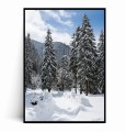 Plakat ZIMOWY LAS I CHOINKI.jpg