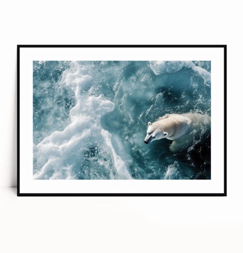 Plakat NIEDŹWIEDŹ POLARNY W WODZIE z marginesem poziomy.jpg