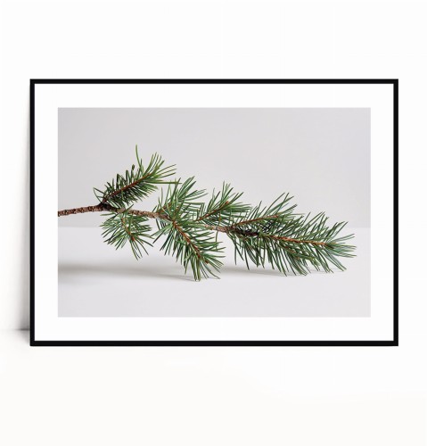 Plakat ZIELONA GAŁĄZKA poziomy zz marginesem.jpg