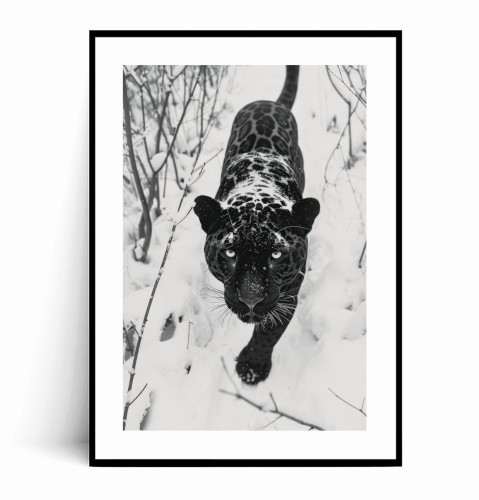 Plakat CZARNY JAGUAR W ŚNIEGU czarno biały z marginesem.jpg