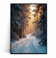 Plakat ZIMOWY LAS W PROMIENIACH SŁOŃCA.jpg