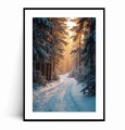 Plakat ZIMOWY LAS W PROMIENIACH SŁOŃCA z marginesem.jpg
