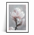 Plakat DELIKATNA MAGNOLIA z marginesem