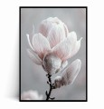 Plakat DELIKATNA MAGNOLIA.jpg