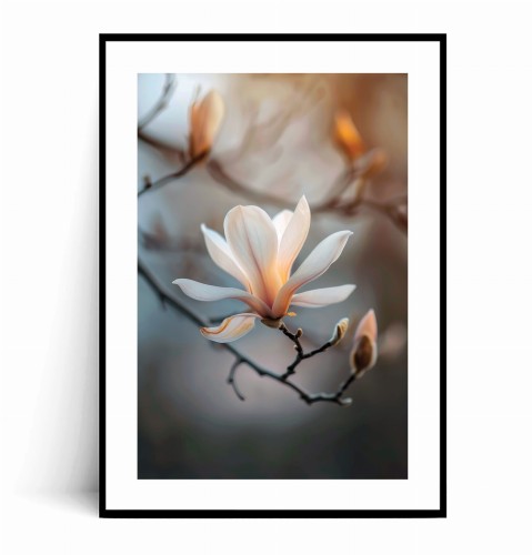 Plakat MAGNOLIA W PROMIENIACH SŁOŃCA z marginesem.jpg