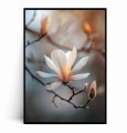 Plakat MAGNOLIA W PROMIENIACH SŁOŃCA.jpg