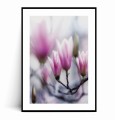Plakat RÓŻOWE MAGNOLIE z marginesem.jpg