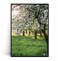 Plakat WIOSENNA JABŁOŃ W SADZIE no.1.jpg