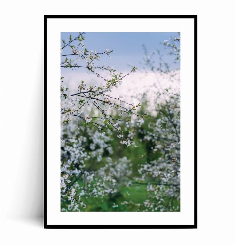 Plakat WIOSENNA JABŁOŃ W SADZIE no.2 z marginesem.jpg
