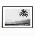 Plakat PALMA NA EGZOTYCZNEJ WYSPIE czarno biały poziomy z marginesem.jpg
