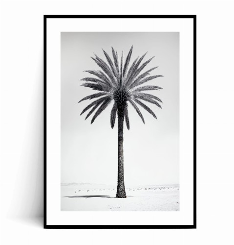 Plakat MINIMALISTYCZNA PALMA z marginesem.jpg
