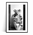 Plakat KOALA W TOALECIE wc czarno biały z marginesem.jpg