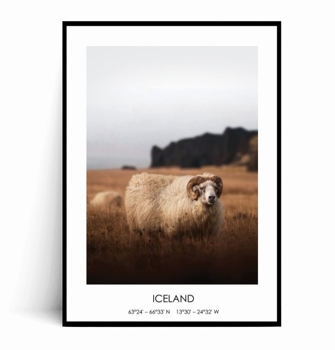 Plakat ISLANDIA Owca no.1 z napisem.jpg