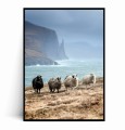 Plakat ISLANDIA Owce no.2.jpg