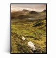 Plakat ISLANDIA Owce.jpg