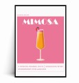 Plakat MIMOSA.jpg