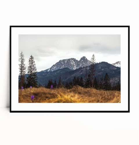 Plakat TATRY GIEWONT poziomy z marginesem.jpg