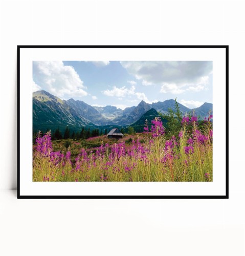 Plakat TATRY HALA GĄSIENICOWA no.1 poziomy z marginesem.jpg