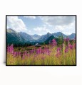 Plakat TATRY HALA GĄSIENICOWA no.1 poziomy.jpg