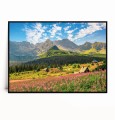 Plakat TATRY HALA GĄSIENICOWA no.2 poziomy.jpg