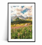 Plakat TATRY HALA GĄSIENICOWA no.1