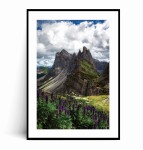 Plakat FIOLETOWE GÓRSKIE KWIATY Dolomity