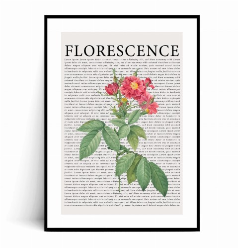 Plakat FLORESCENCE  Kwiaty Vintage No.2 z marginesem.jpg