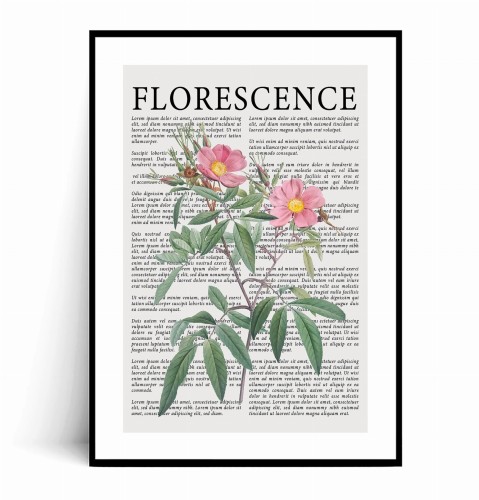 Plakat FLORESCENCE Kwiaty Vintage No.3 z marginesem.jpg