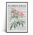 Plakat FLORESCENCE Kwiaty Vintage No.3.jpg